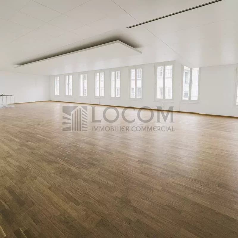 Exclusif dans l'hyper-centre de Lausanne (6)