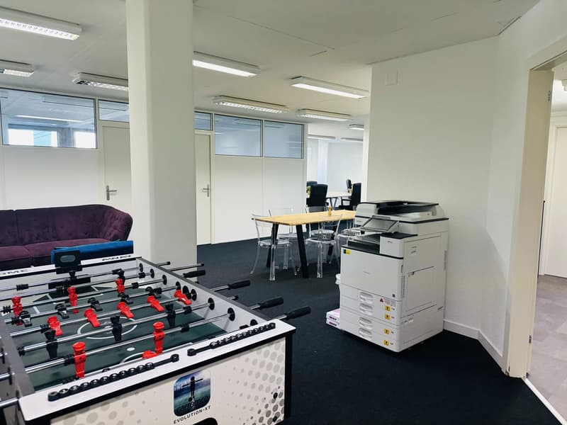 Desk ou Bureau privé avec vue lac (4)