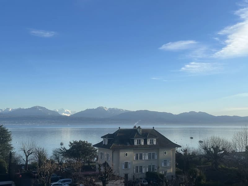 Desk ou Bureau privé avec vue lac (7)