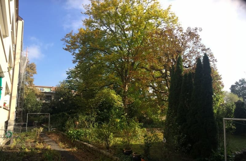 Gartenseite