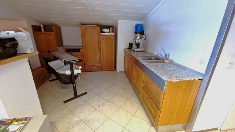 IDEAL POUR COMMERCE/SHOWROOM/ARTISANT (8)