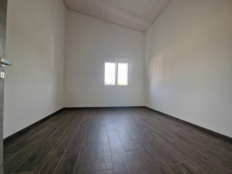 LUMINEUX,  DE STANDING, EN ATTIQUE (8)