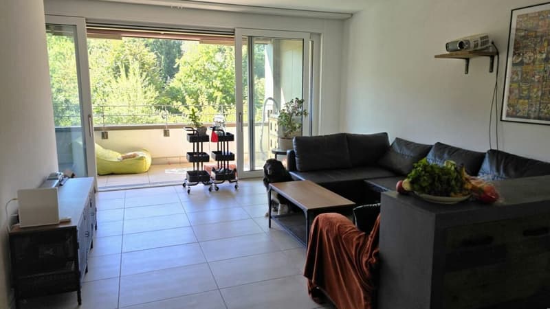 AU COEUR DE LA NATURE & ROOFTOP (6)