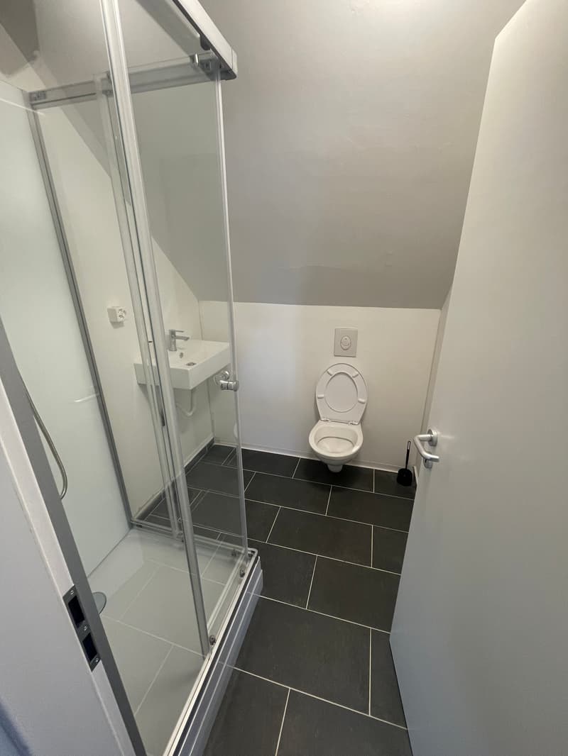 The image shows a bathroom with a glass shower enclosure, a white toilet, and a white sink. The floor is tiled with dark gray tiles, and the walls are painted a light color.