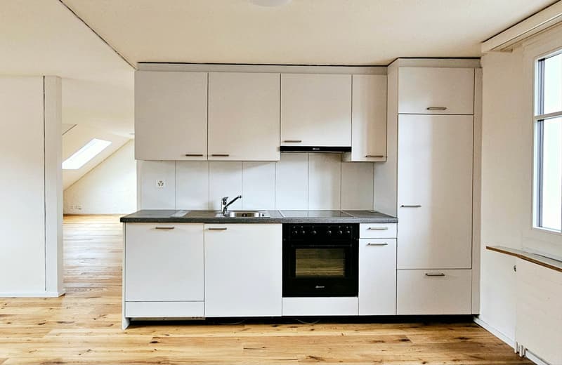 Large 2.5 single, couple, or student apartment (1)