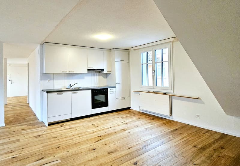 Large 2.5 single, couple, or student apartment (2)