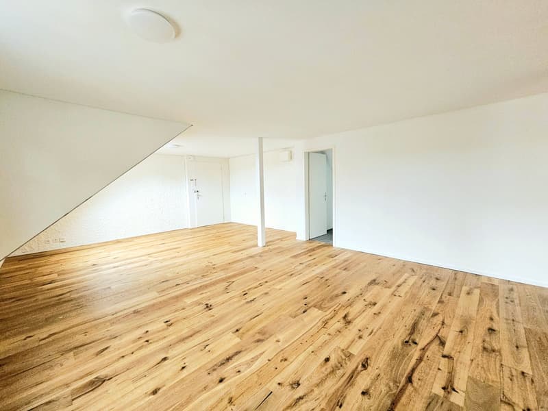 Large 2.5 single, couple, or student apartment (6)