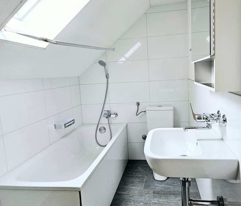 Large 2.5 single, couple, or student apartment (9)