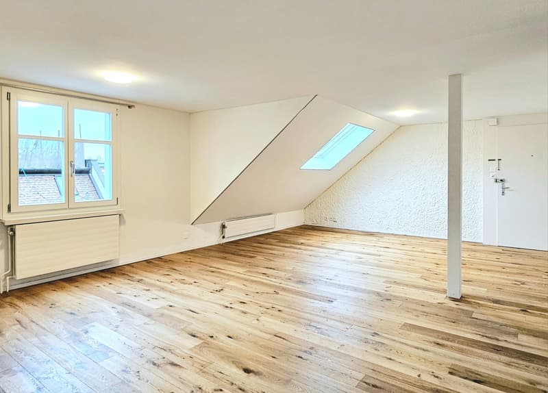 Large 2.5 single, couple, or student apartment (7)