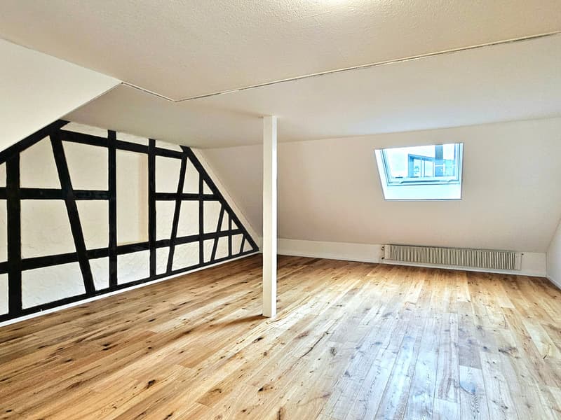 Large 2.5 single, couple, or student apartment (5)