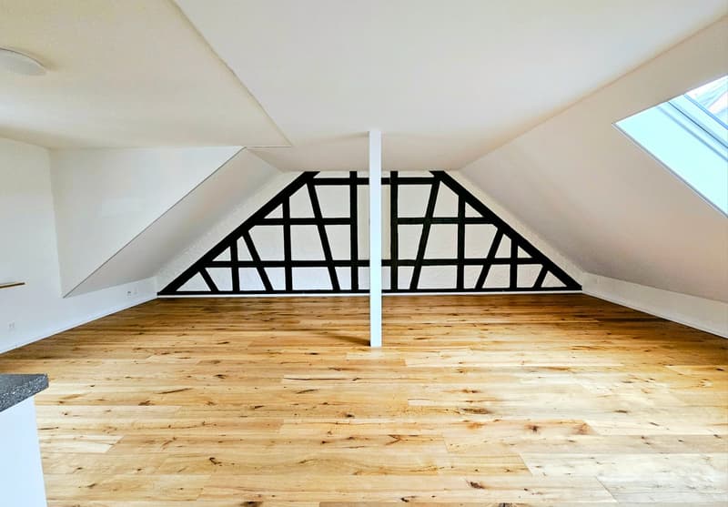 Large 2.5 single, couple, or student apartment (4)