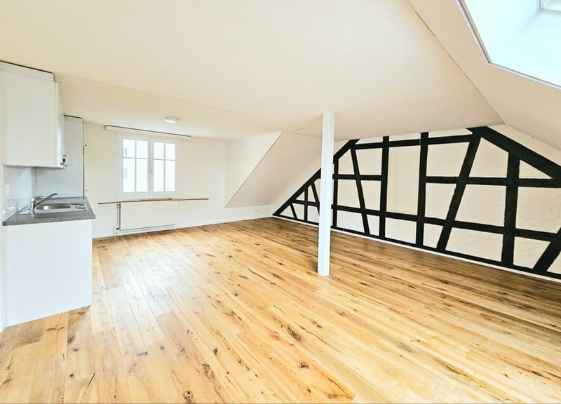 Large 2.5 single, couple, or student apartment (3)