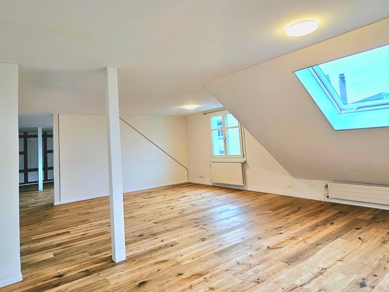 Large 2.5 single, couple, or student apartment (8)