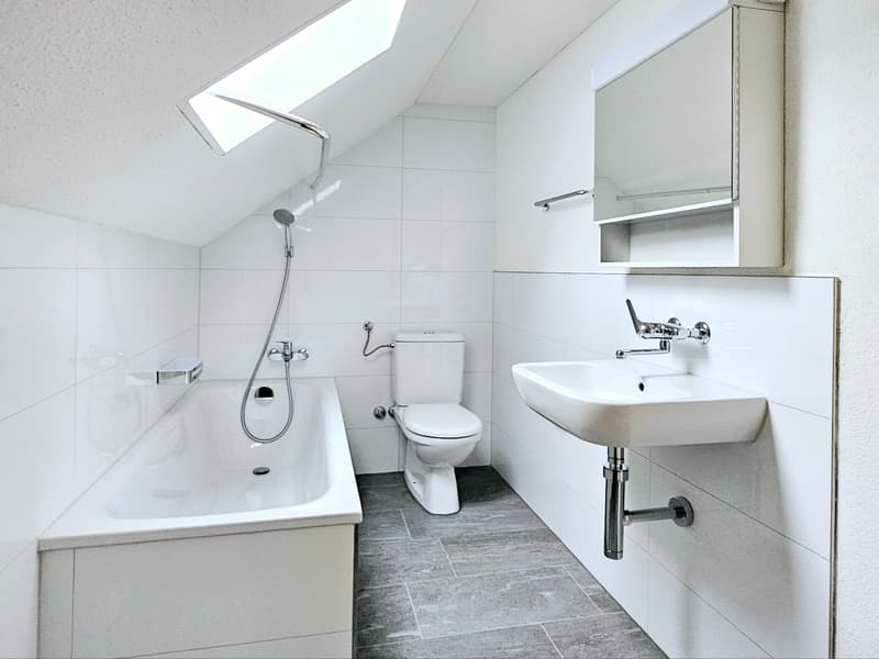 Large 2.5 single, couple, or student apartment (10)