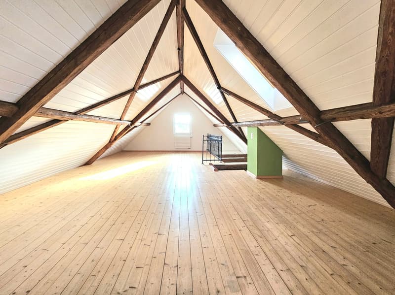 Appartamento a maisonnette di 4,5 locali in stile Riegelbau (5)