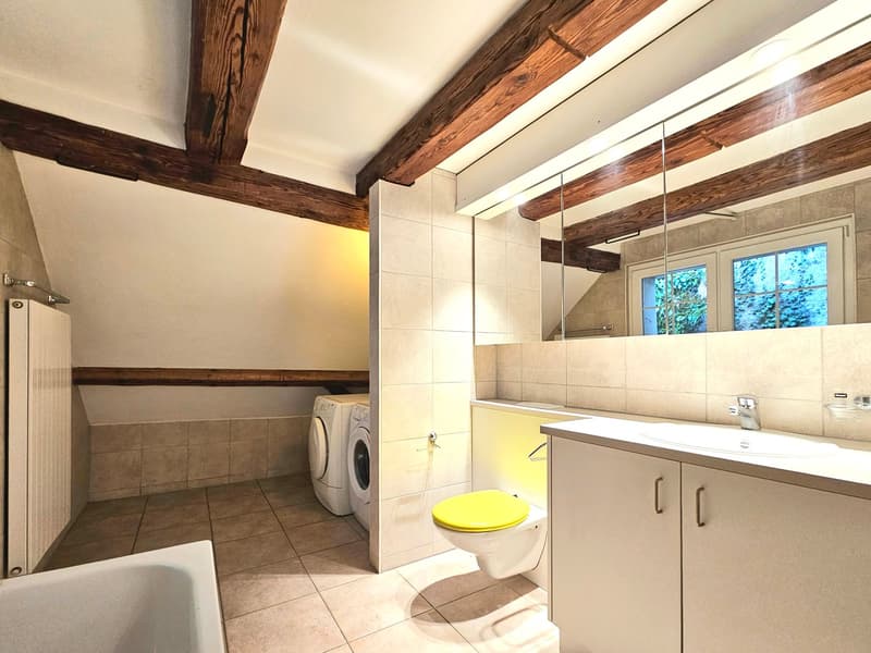 Appartamento a maisonnette di 4,5 locali in stile Riegelbau (10)