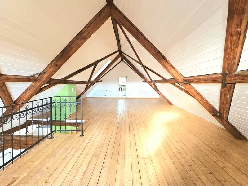 Appartamento a maisonnette di 4,5 locali in stile Riegelbau (4)