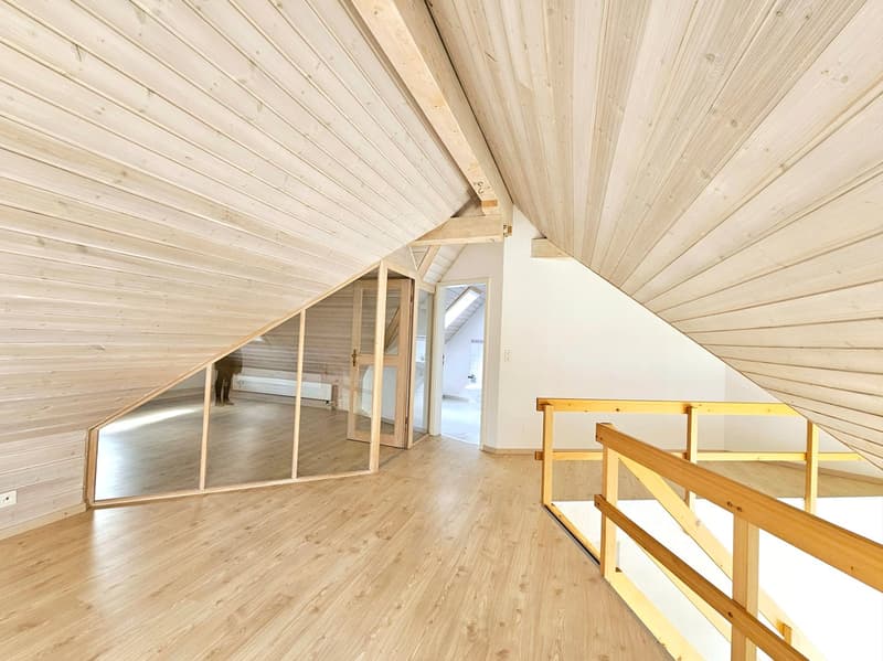 schöne 5.5 - Zimmer Maisonettewohnung (1)