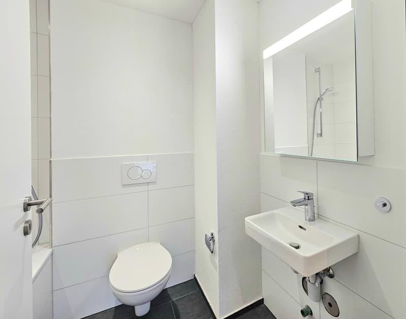 Moderne 2.5 Zimmerwohnung (9)