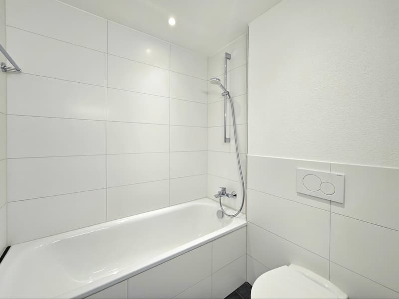 Moderne 2.5 Zimmerwohnung (8)