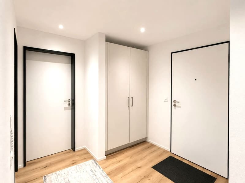 Moderne 4.5 Zimmerwohnung (8)
