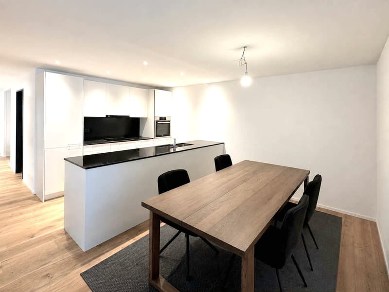 Moderne 4.5 Zimmerwohnung (1)
