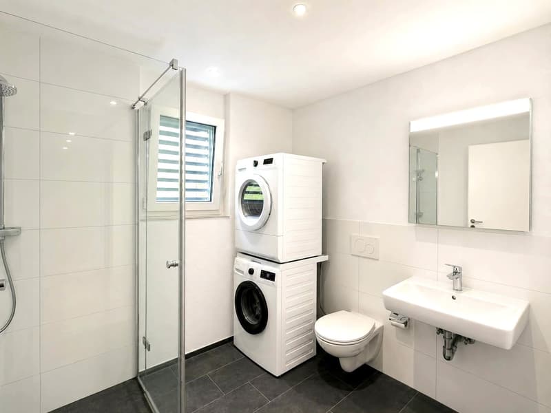 Moderne 4.5 Zimmerwohnung (7)