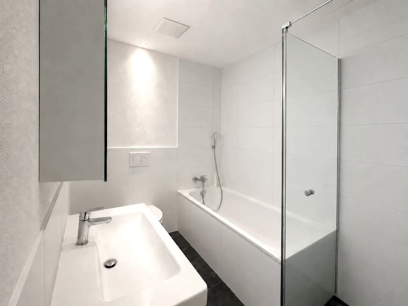 Moderne 4.5 Zimmerwohnung (6)