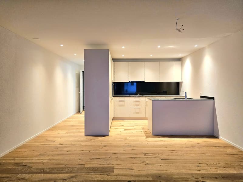 Moderne 2.5 Zimmerwohnung Parterre "Neubau" (2)