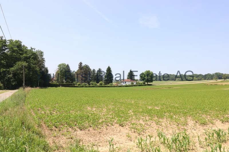 FRANCE - Un jardin comme un parc – Paix, espace et nature. (8)