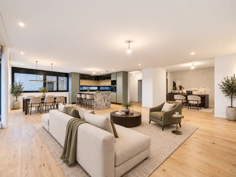 Exklusiver Miete Neubau  – 4.5-Zi. Terrassenwohnung mit 130 m² Panorama (4)