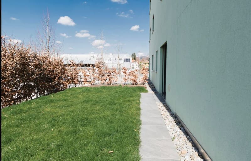 green lawn, gravel path, green wall, bushes, clear sky