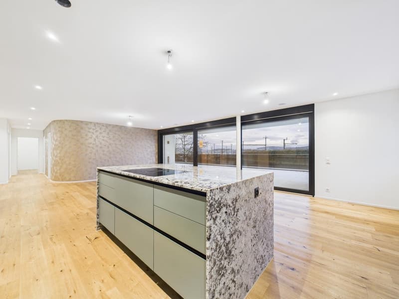 Exklusive 4.5-Zimmer-Terrassenwohnung im Neubau in Umiken (2)