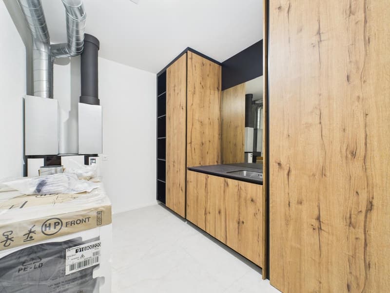 Exklusive 4.5-Zimmer-Terrassenwohnung im Neubau in Umiken (11)