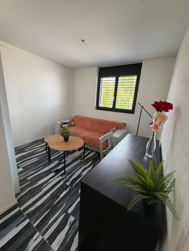 Möblierte 6.5-Zimmer-Wohnung zu vermieten (10)