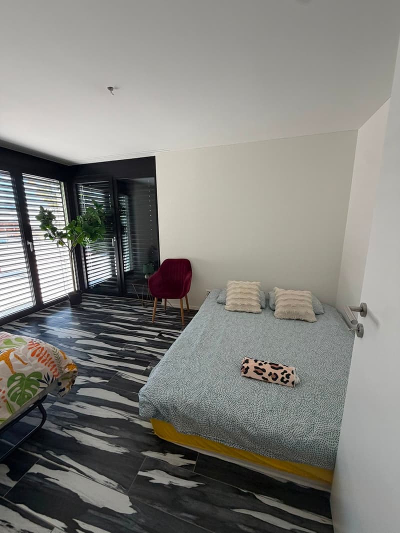 Möblierte 6.5-Zimmer-Wohnung zu vermieten (11)