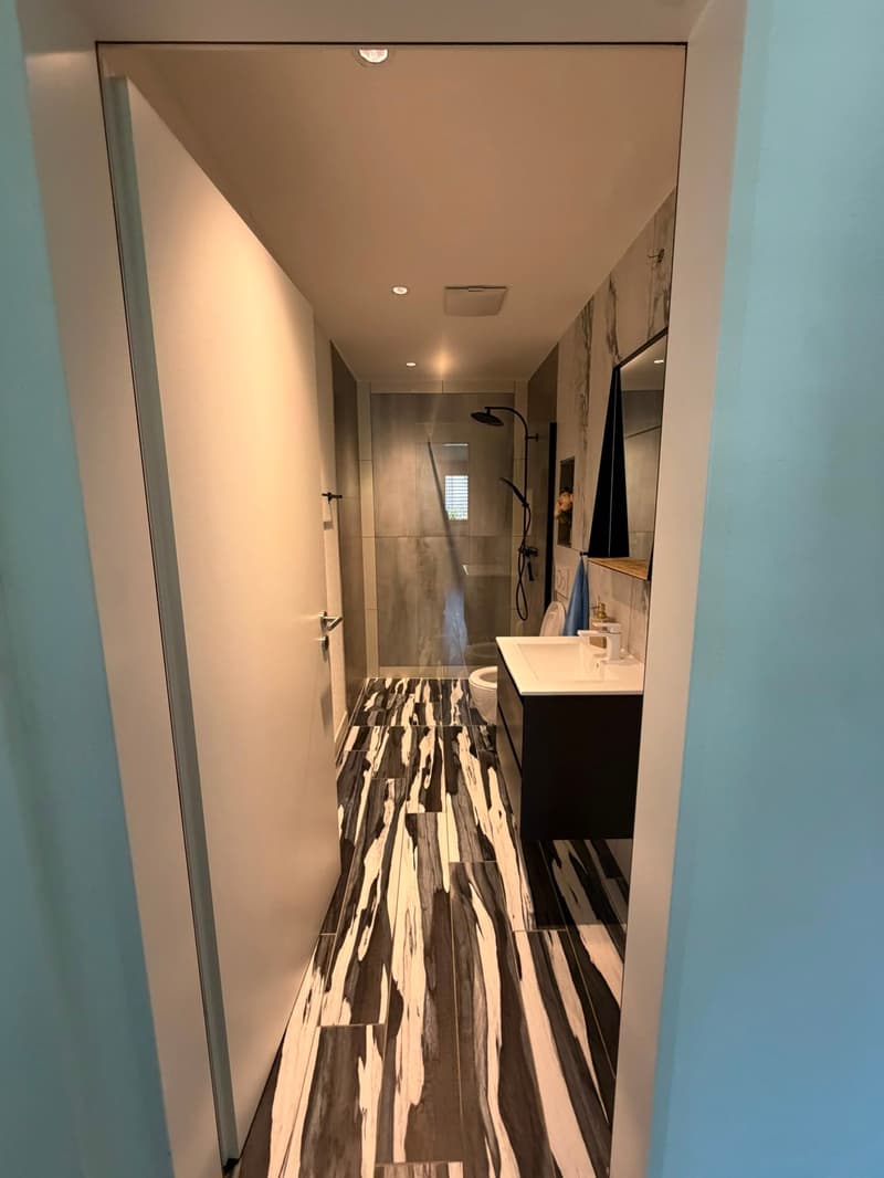 Möblierte 6.5-Zimmer-Wohnung zu vermieten (3)