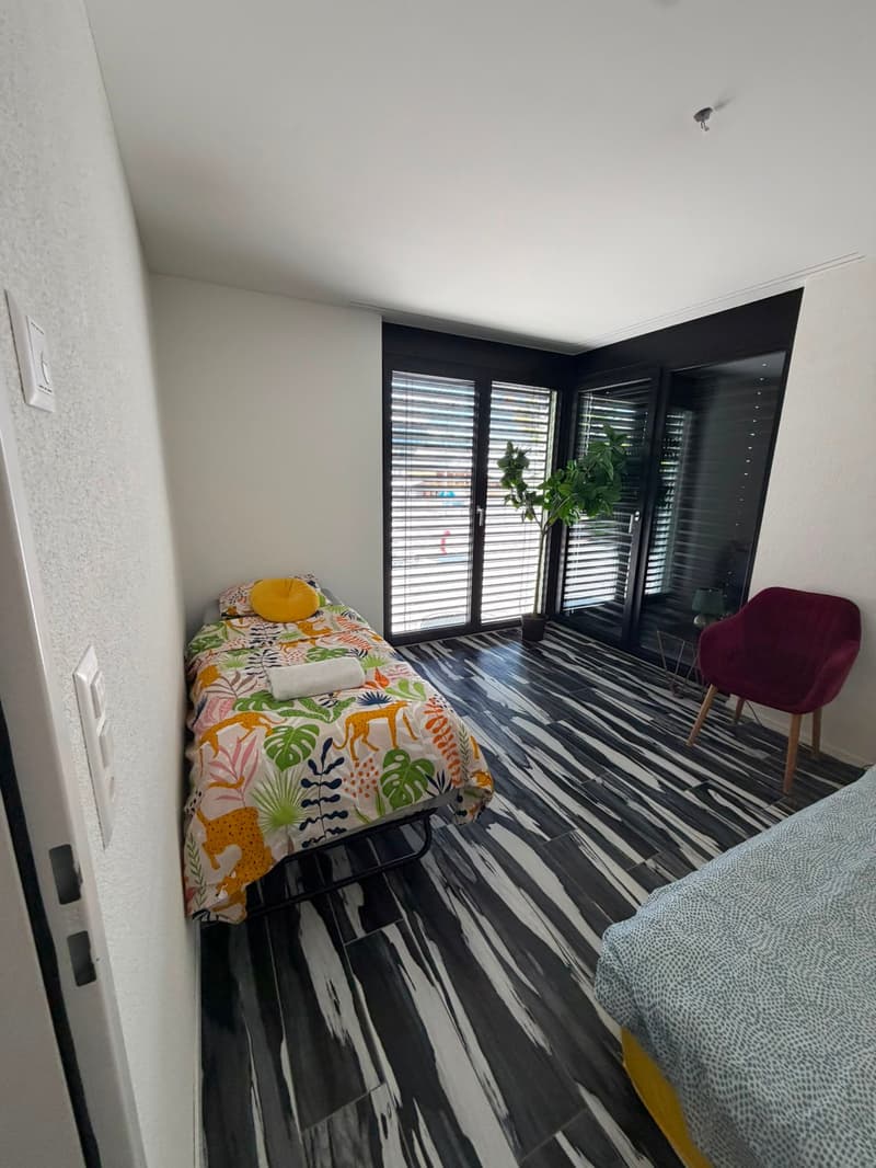 Möblierte 6.5-Zimmer-Wohnung zu vermieten (5)