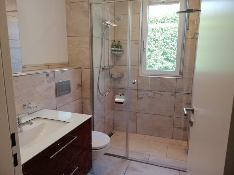 4.5-Zimmer-Wohnung mit 170 m² Gartenfläche (4)
