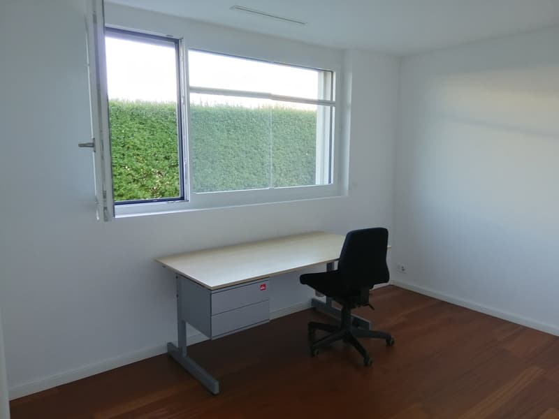 4.5-Zimmer-Wohnung mit 170 m² Gartenfläche (7)