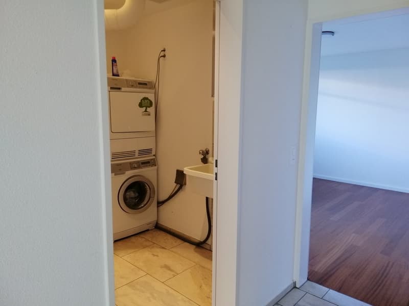 4.5-Zimmer-Wohnung mit 170 m² Gartenfläche (10)