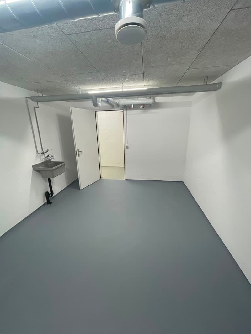 Hobby-/Disponibelraum zu vermieten - 5737 Menziken (1)