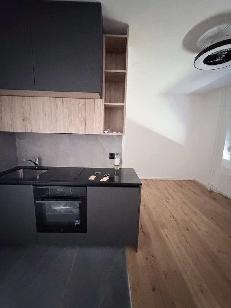Studio moderne à louer à Bienne – Rue des Prés 9 (3)