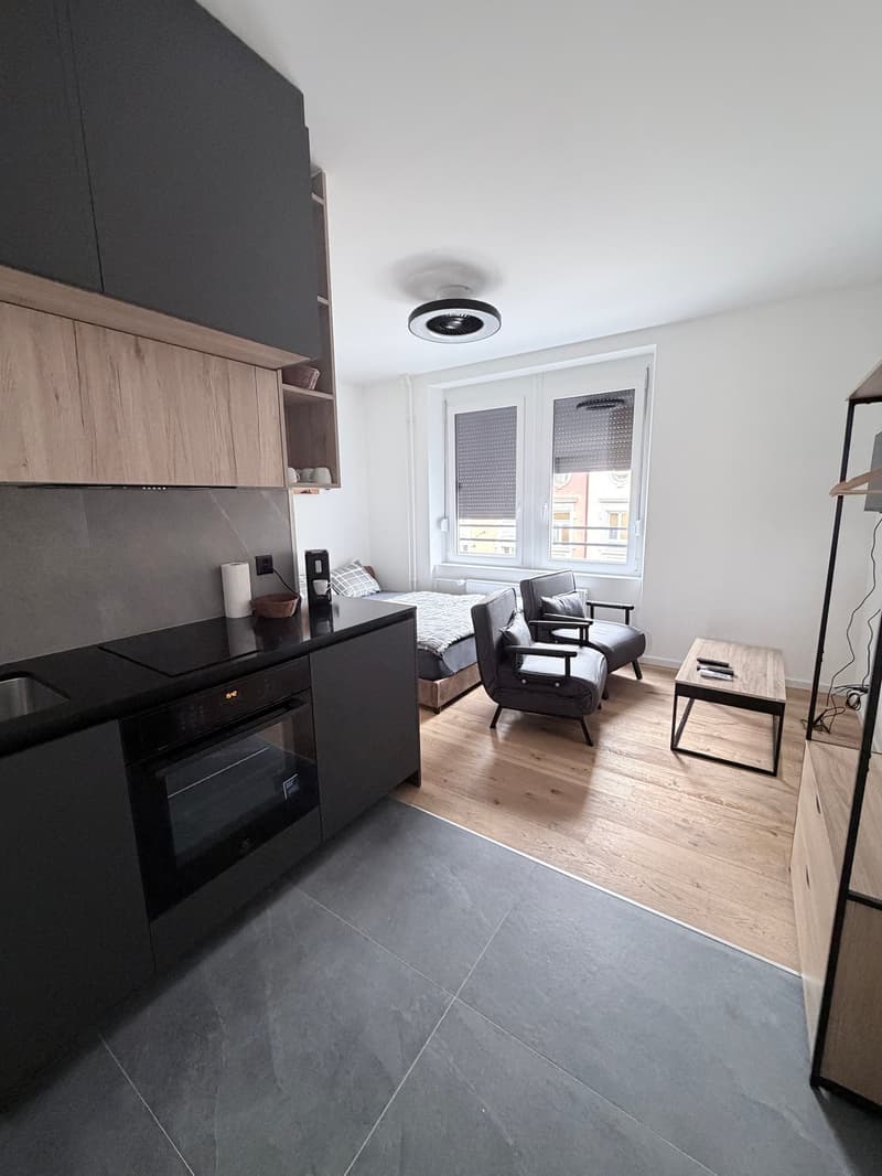 Studio moderne à Bienne – disponible immédiatement (2)