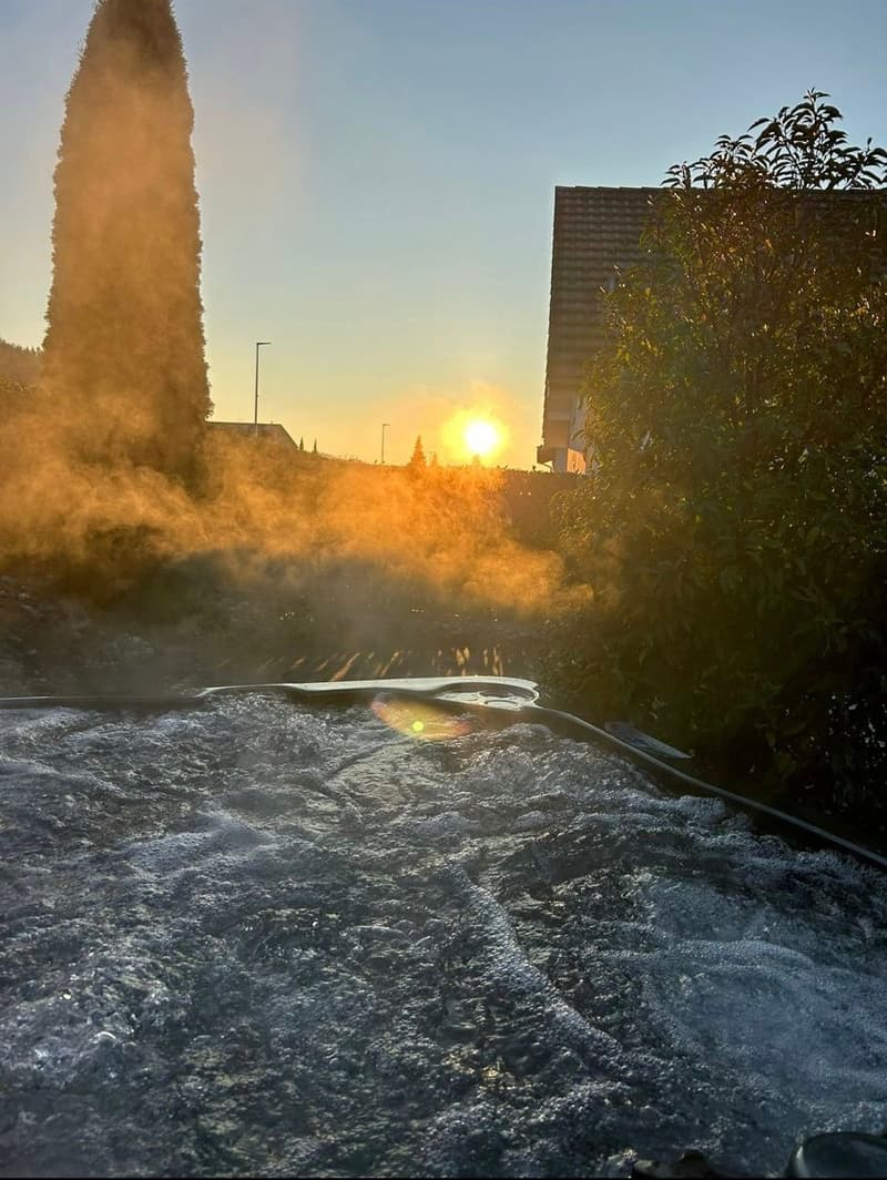 Swimming pool, trees, sunlight, sun rising, mist