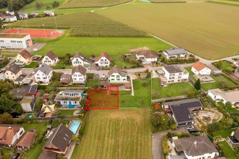 Suburban residential area, various houses, wide lawn area in front of a blue house, some have solar panels, houses have gardens and car parking in front.