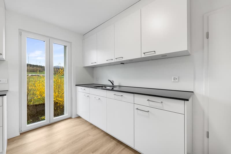 modern kitchen with white cabinets, black countertops, stainless steel sink, sliding glass door, wooden floor, power outlet, faucet