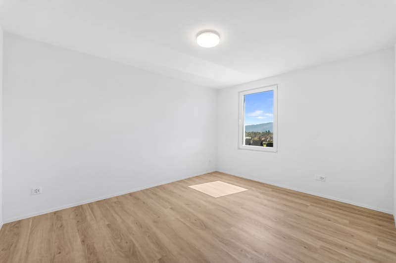 Maison unifamiliale 5 pièces avec vue sur la montagne à Winznau (26)