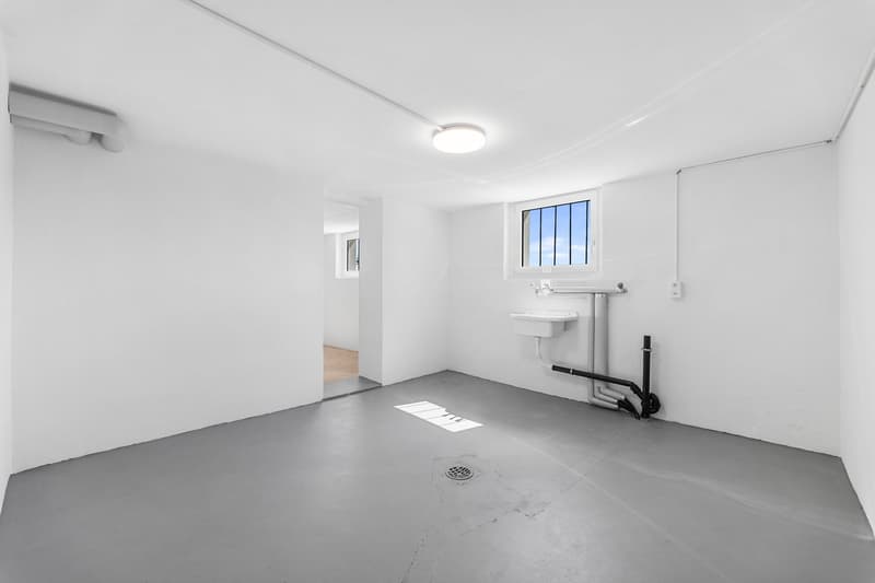 Maison unifamiliale 5 pièces avec vue sur la montagne à Winznau (39)