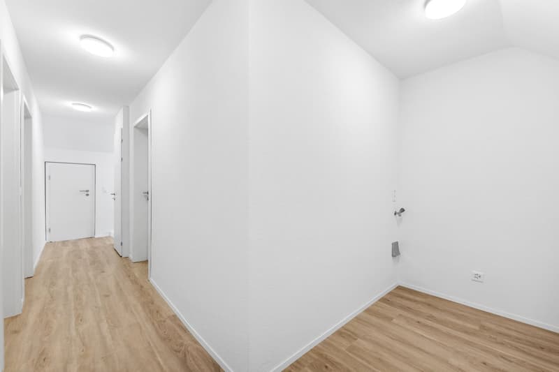 Maison unifamiliale 5 pièces avec vue sur la montagne à Winznau (33)
